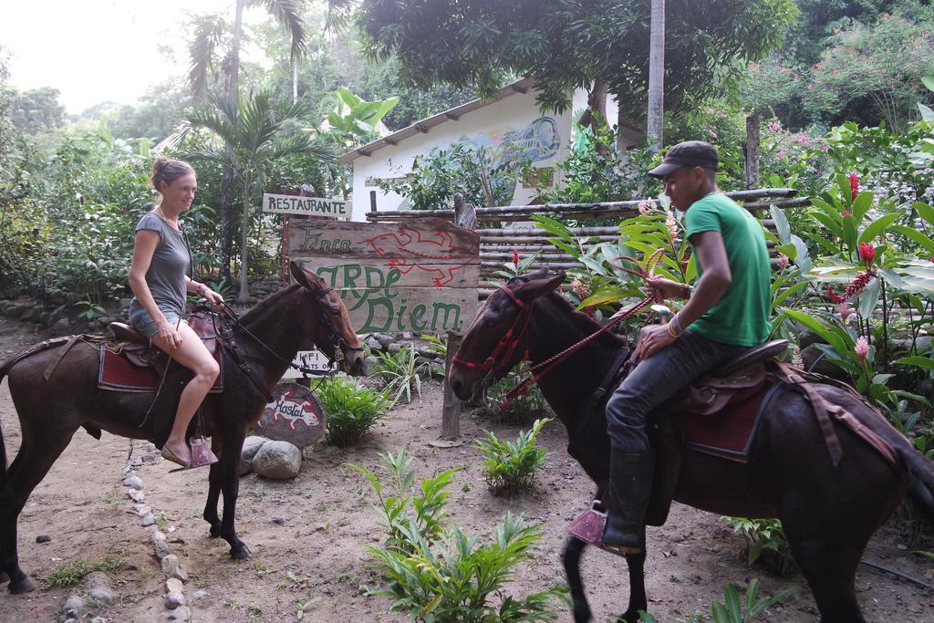 Finca Carpe Diem Ecolodge Minca Exterior photo